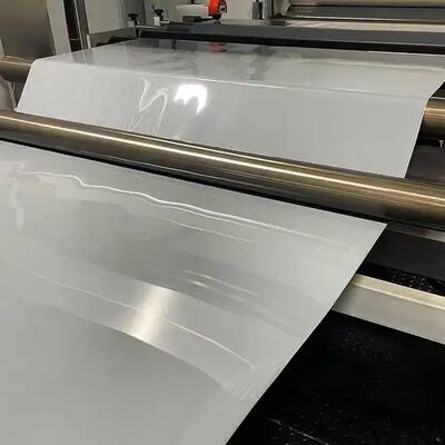 주문 1mm*4*8 피트 크기 ASA PETG 개그 장식 시트 압출 라인 광택 매트 질감 ASA 장식 필름 생산 기계 online manufacture