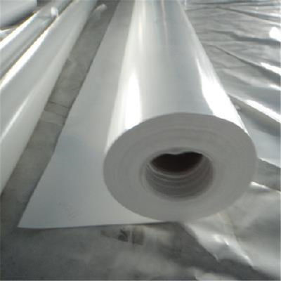 주문 Pvc PVDC는 달라 붙습니다 캐스트막 압출 라인 열 내한성 online manufacture